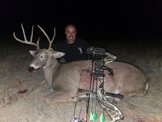 Whitetail Deer