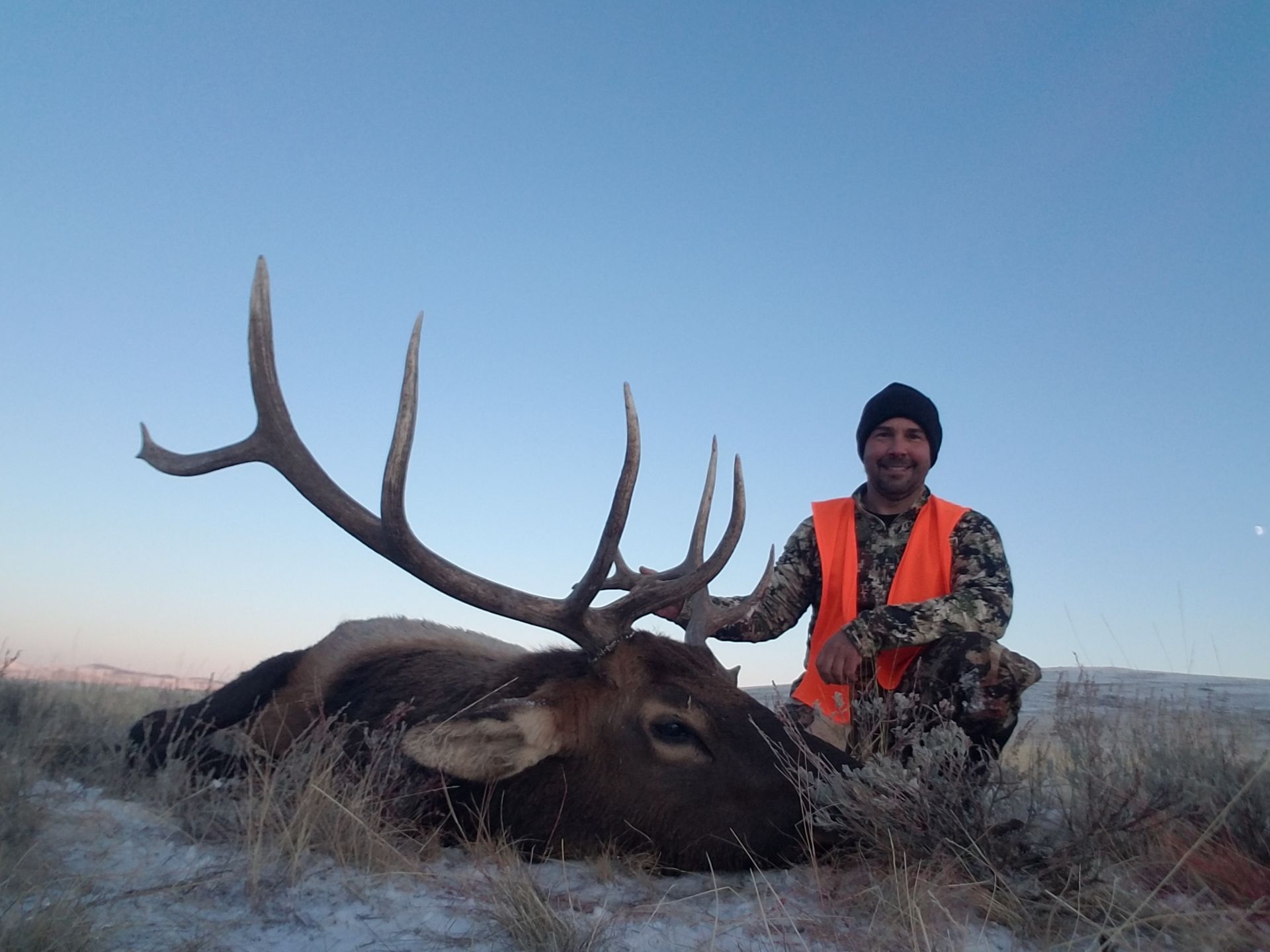 Elk Gallery Image