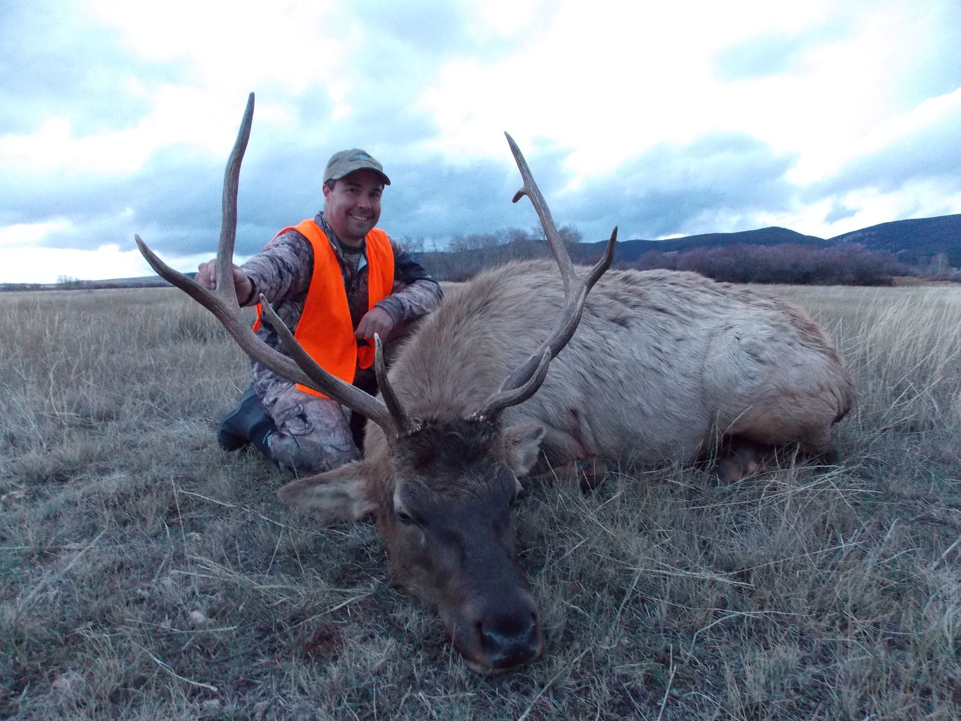 Elk Gallery Image