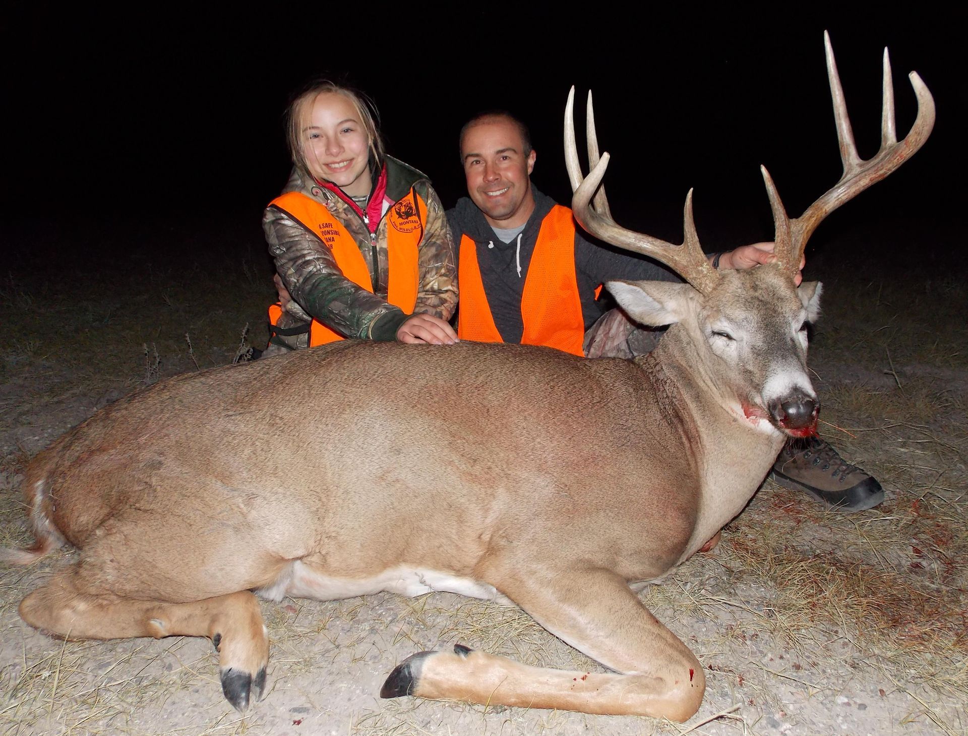 Whitetail Deer Gallery Image
