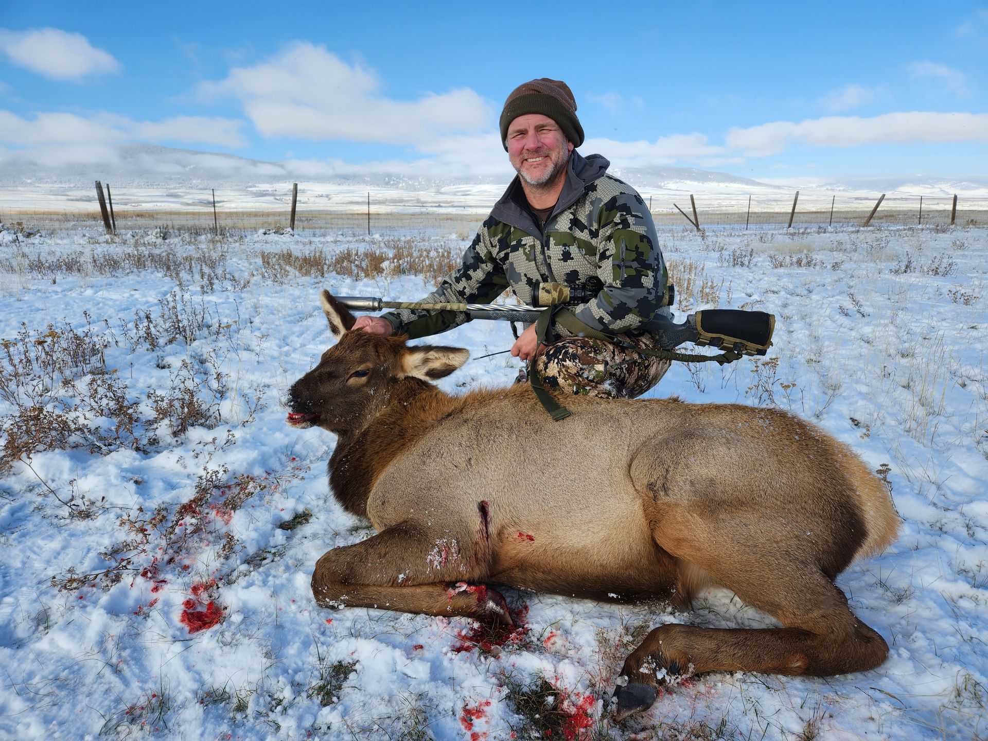 Elk Gallery Image