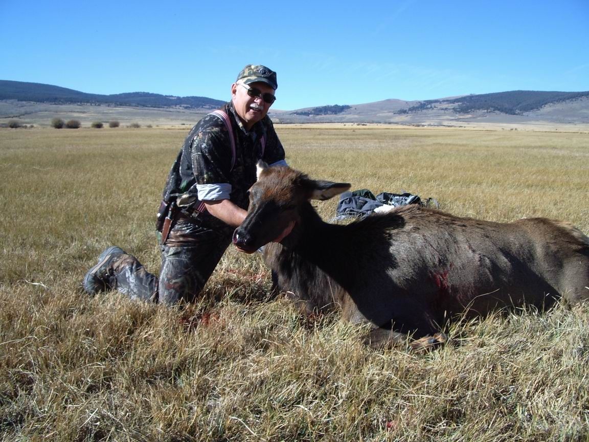 Elk Gallery Image