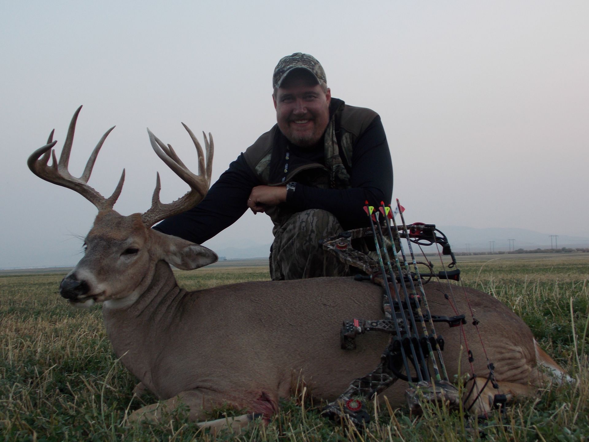 Whitetail Deer Gallery Image