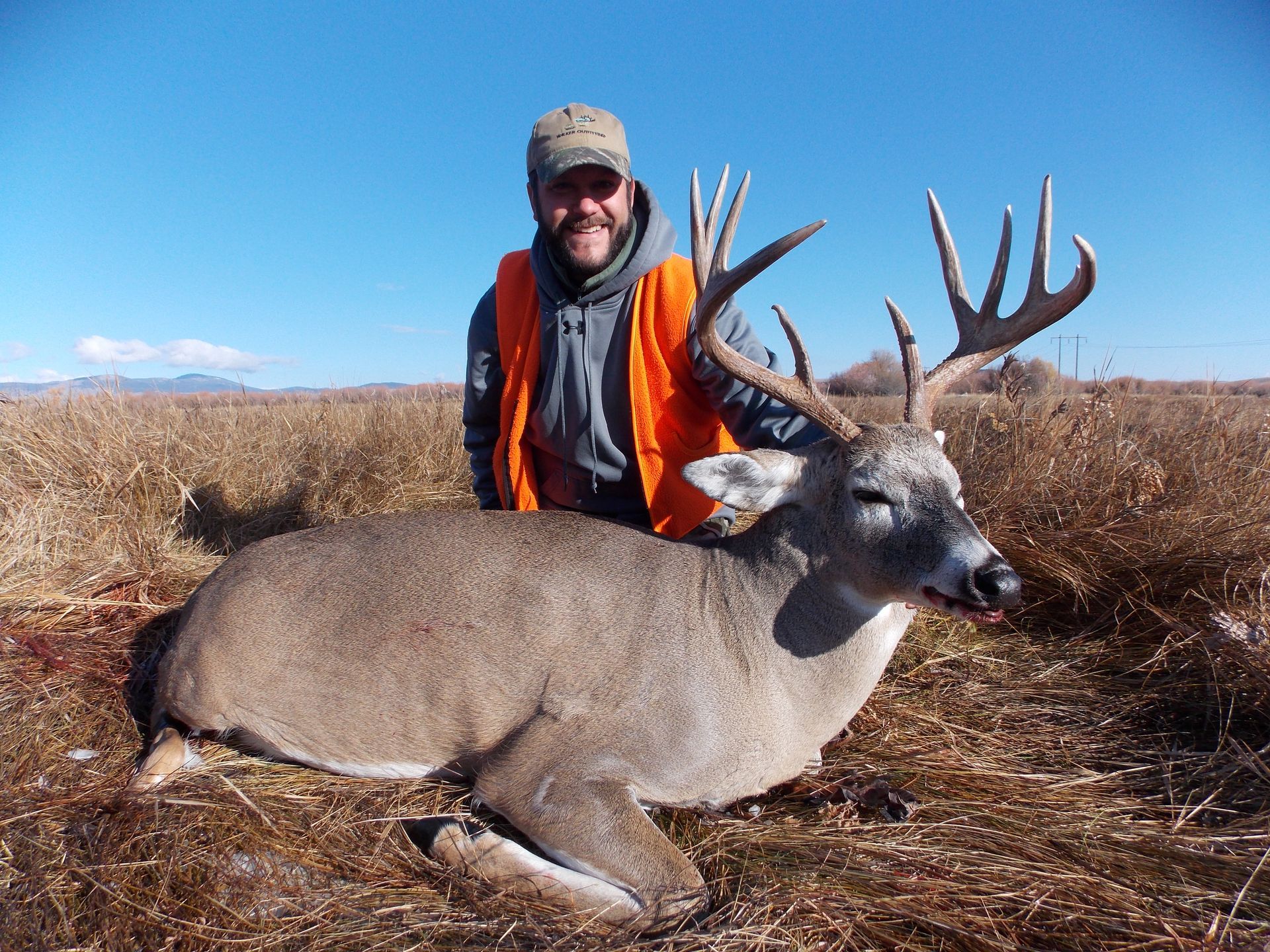 Whitetail Deer Gallery Image