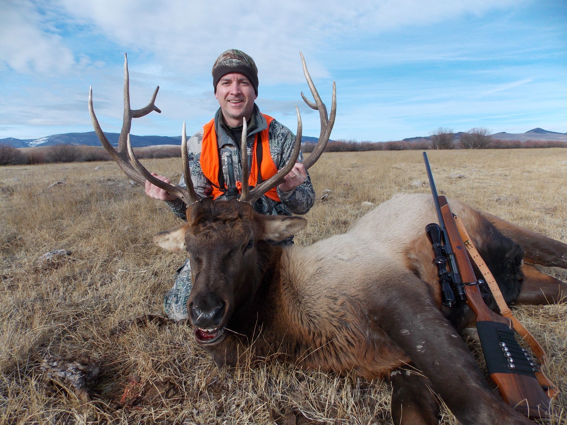 Elk Gallery Image