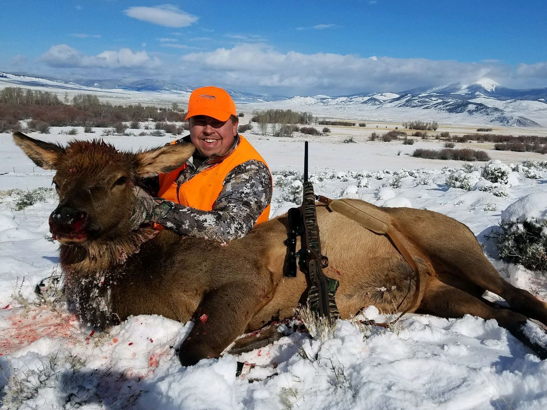 Elk Gallery Image