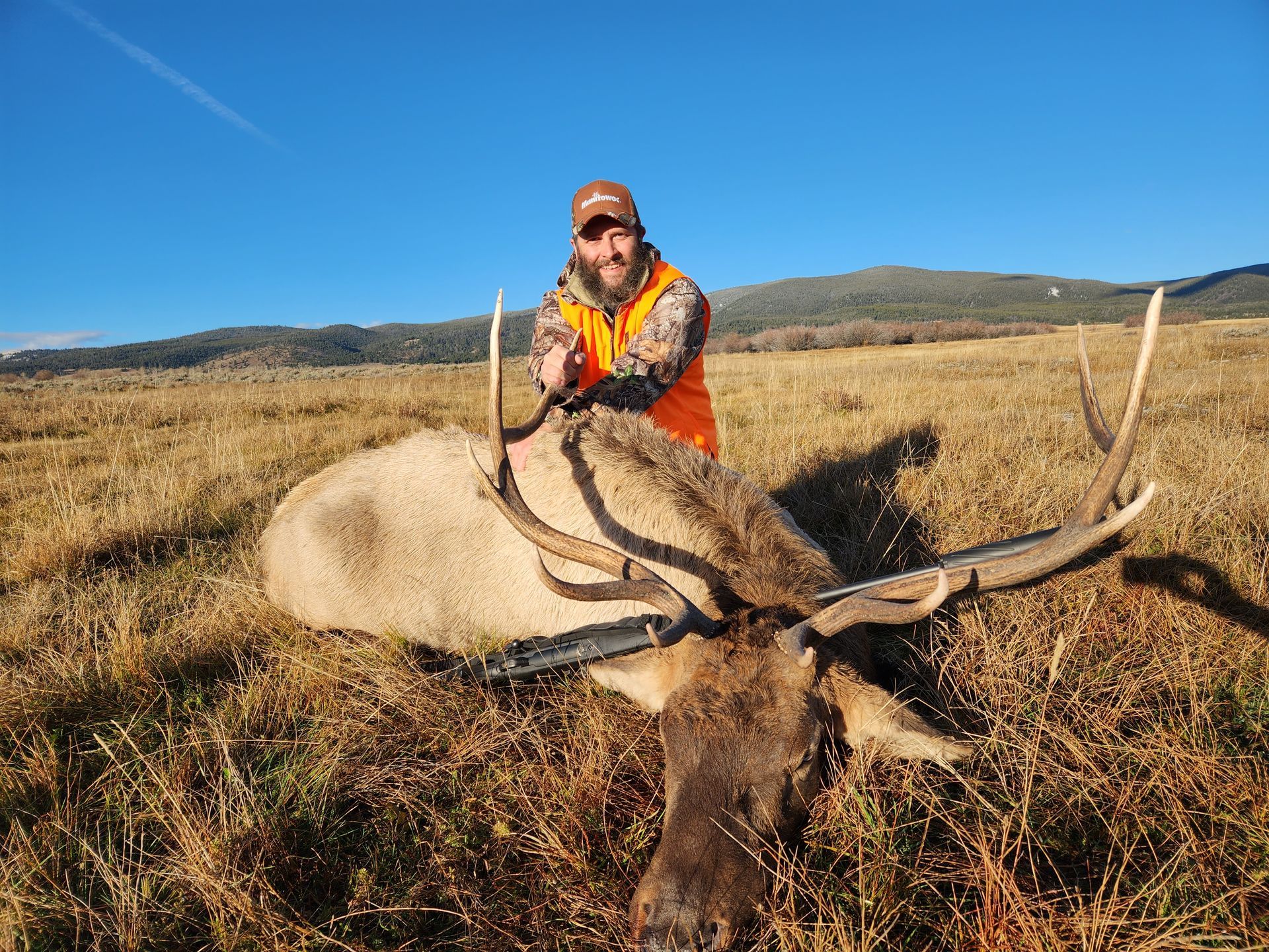 Elk Gallery Image