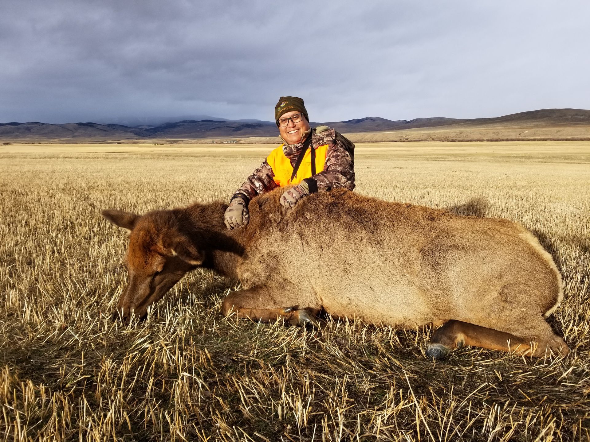 Elk Gallery Image