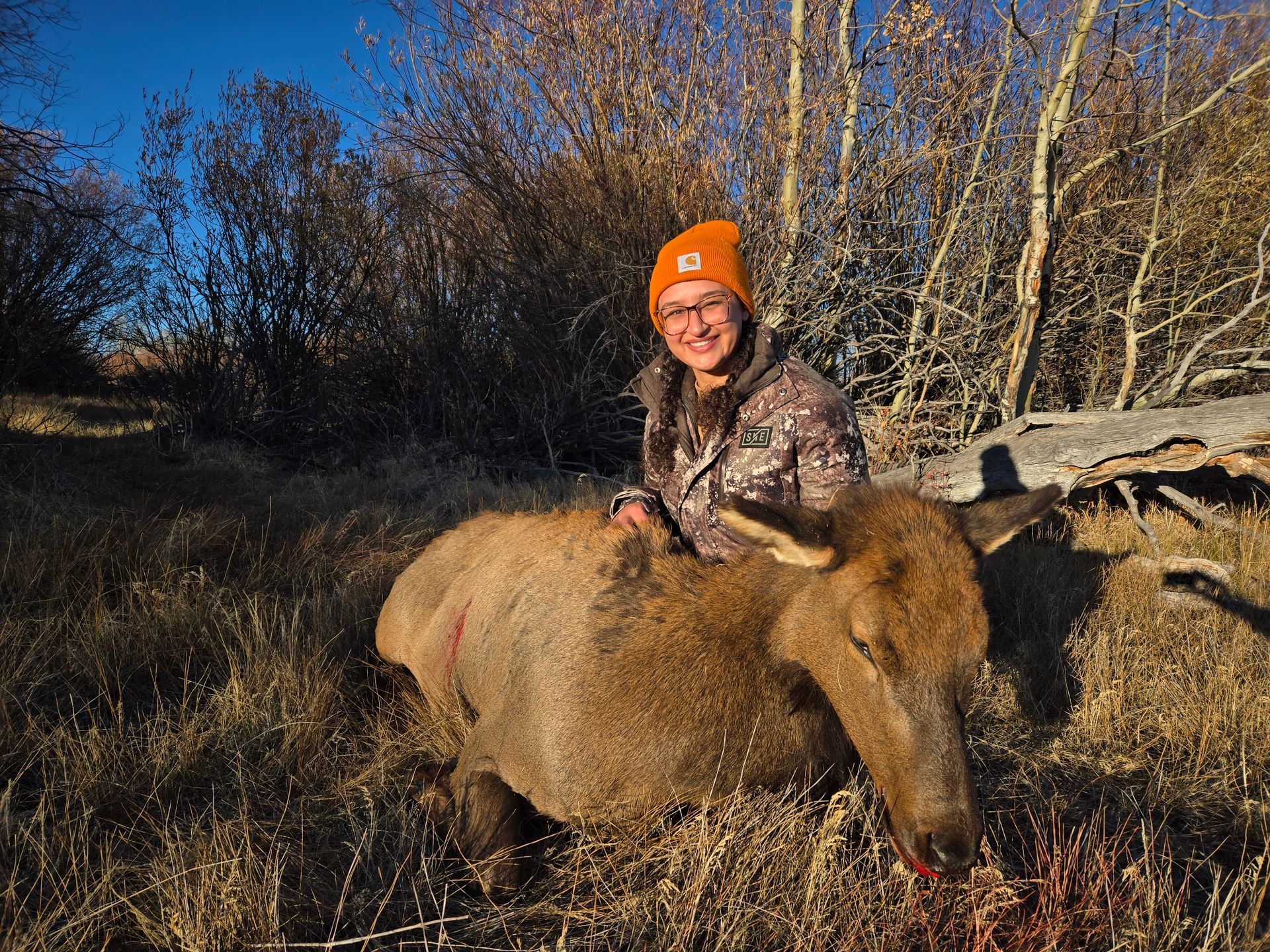 Elk Gallery Image