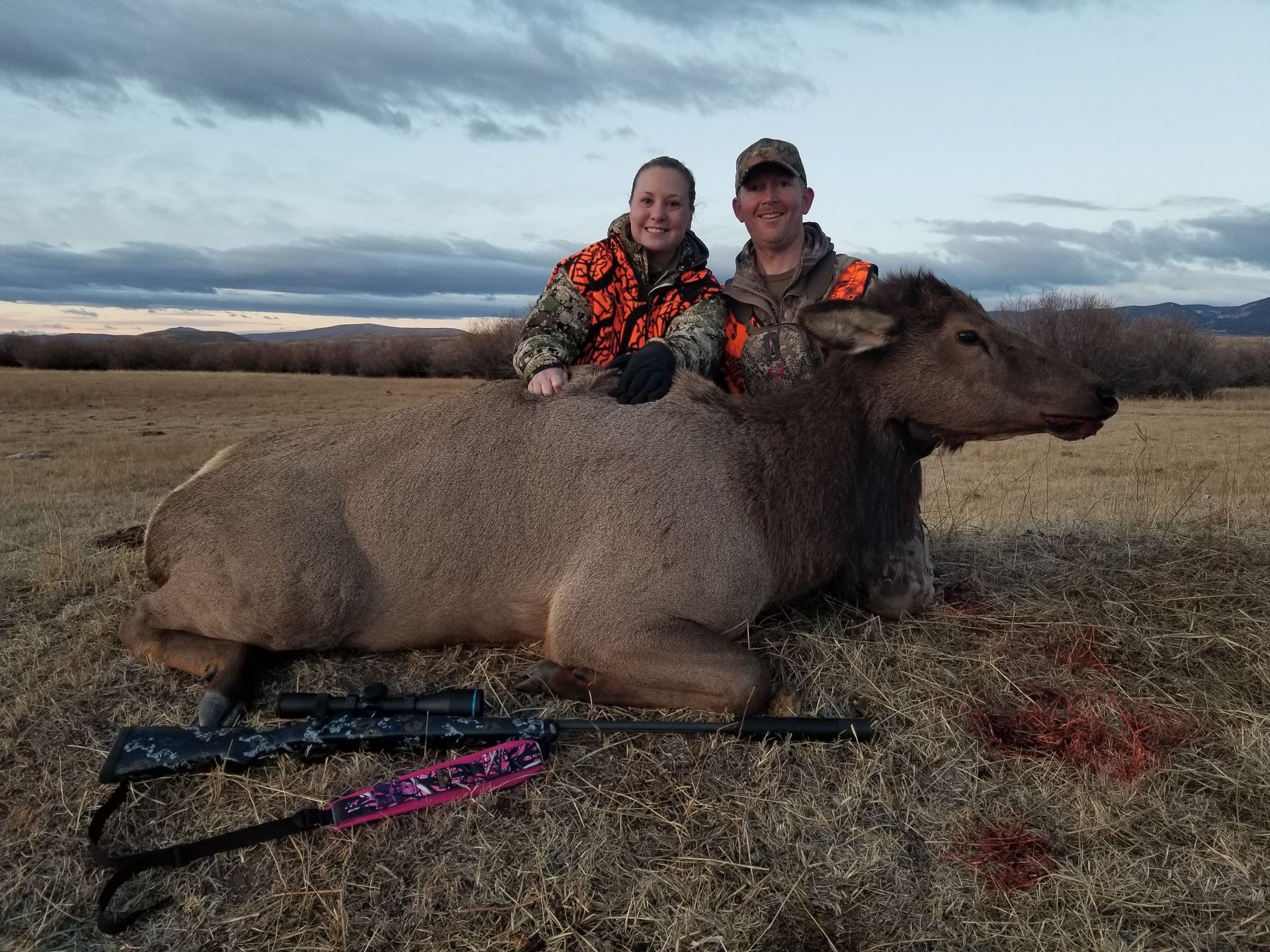 Elk Gallery Image