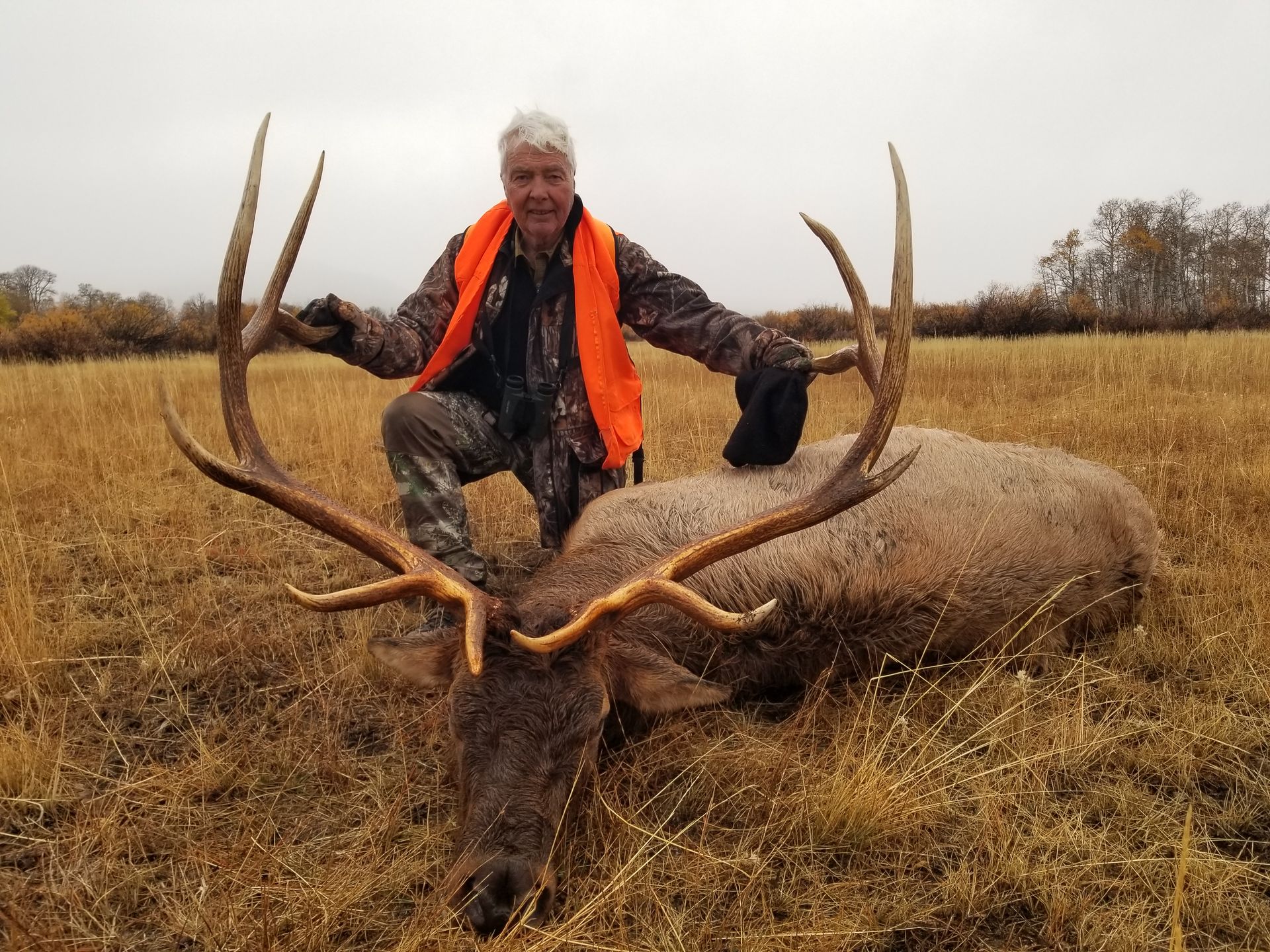 Elk Gallery Image