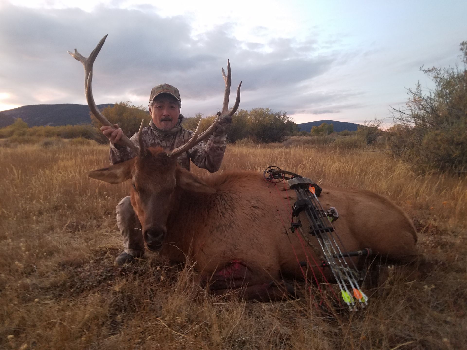 Elk Gallery Image