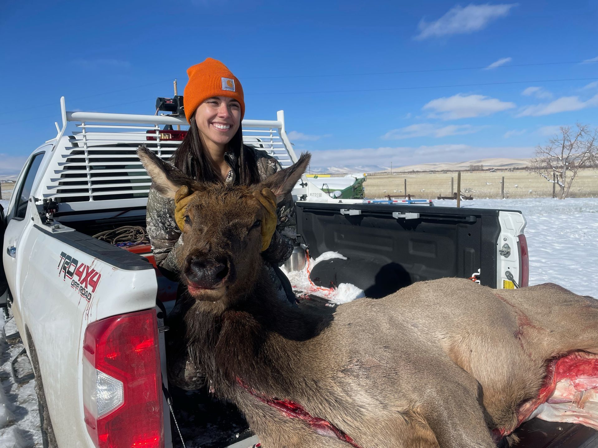 Elk Gallery Image