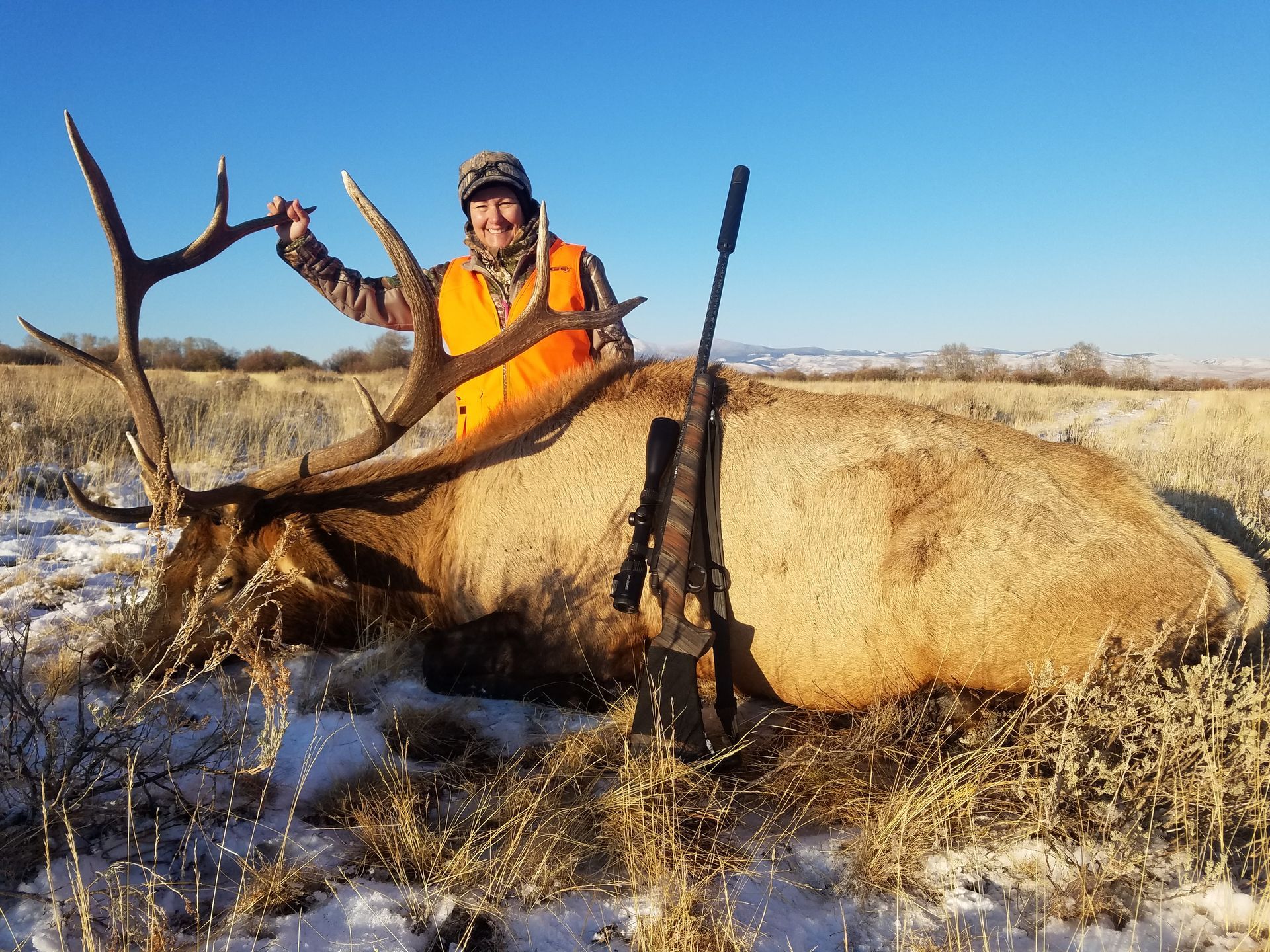 Elk Gallery Image