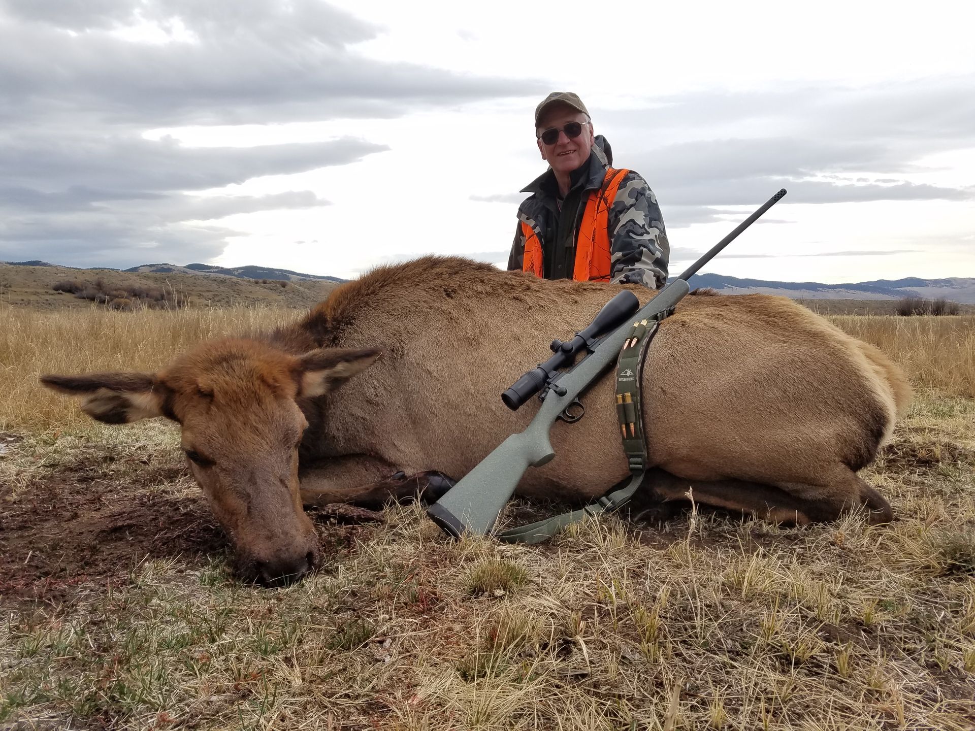 Elk Gallery Image