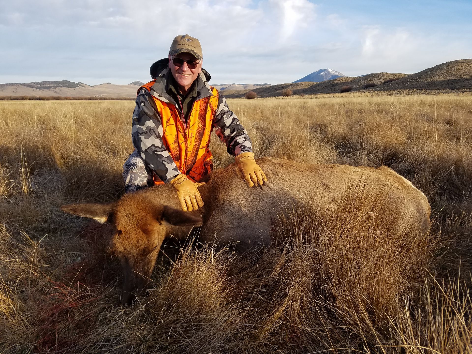 Elk Gallery Image