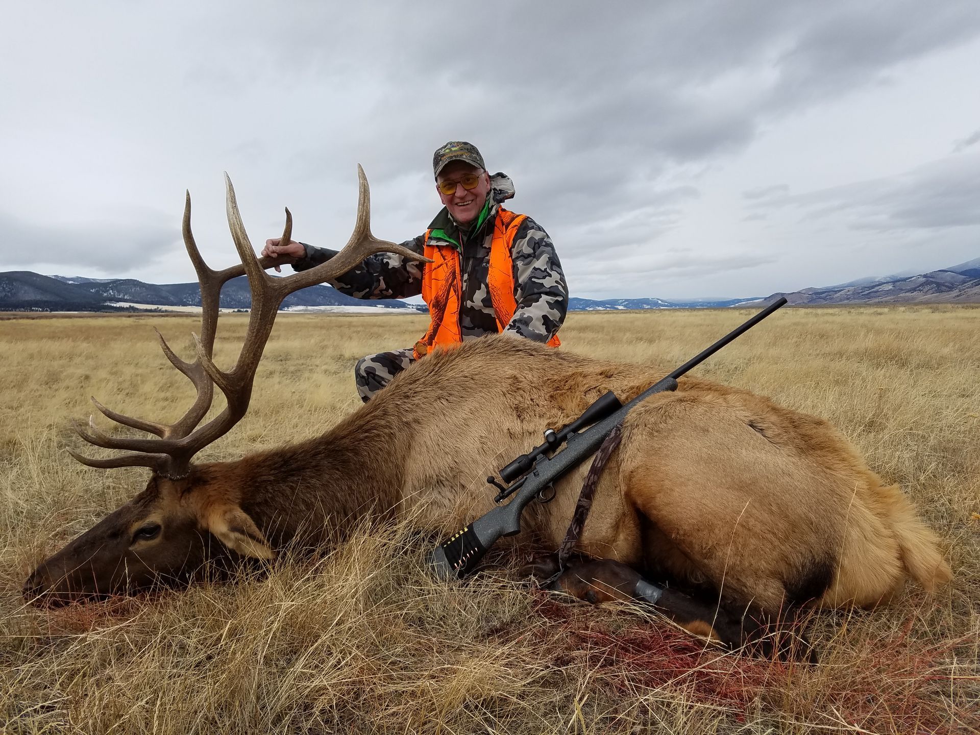 Elk Gallery Image