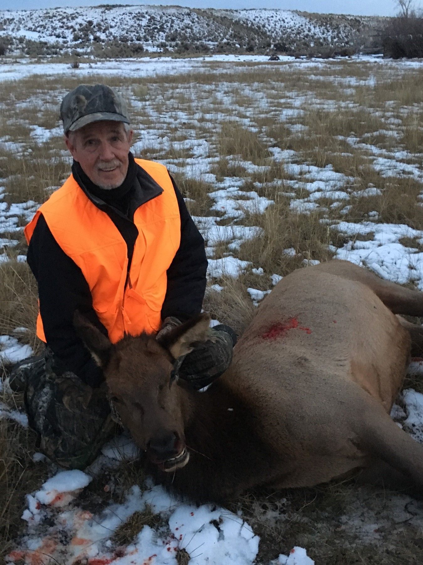 Elk Gallery Image