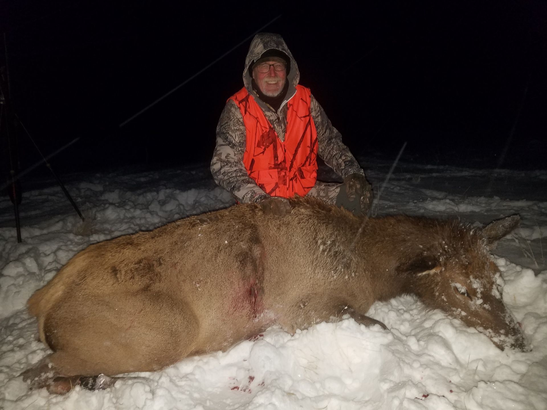 Elk Gallery Image