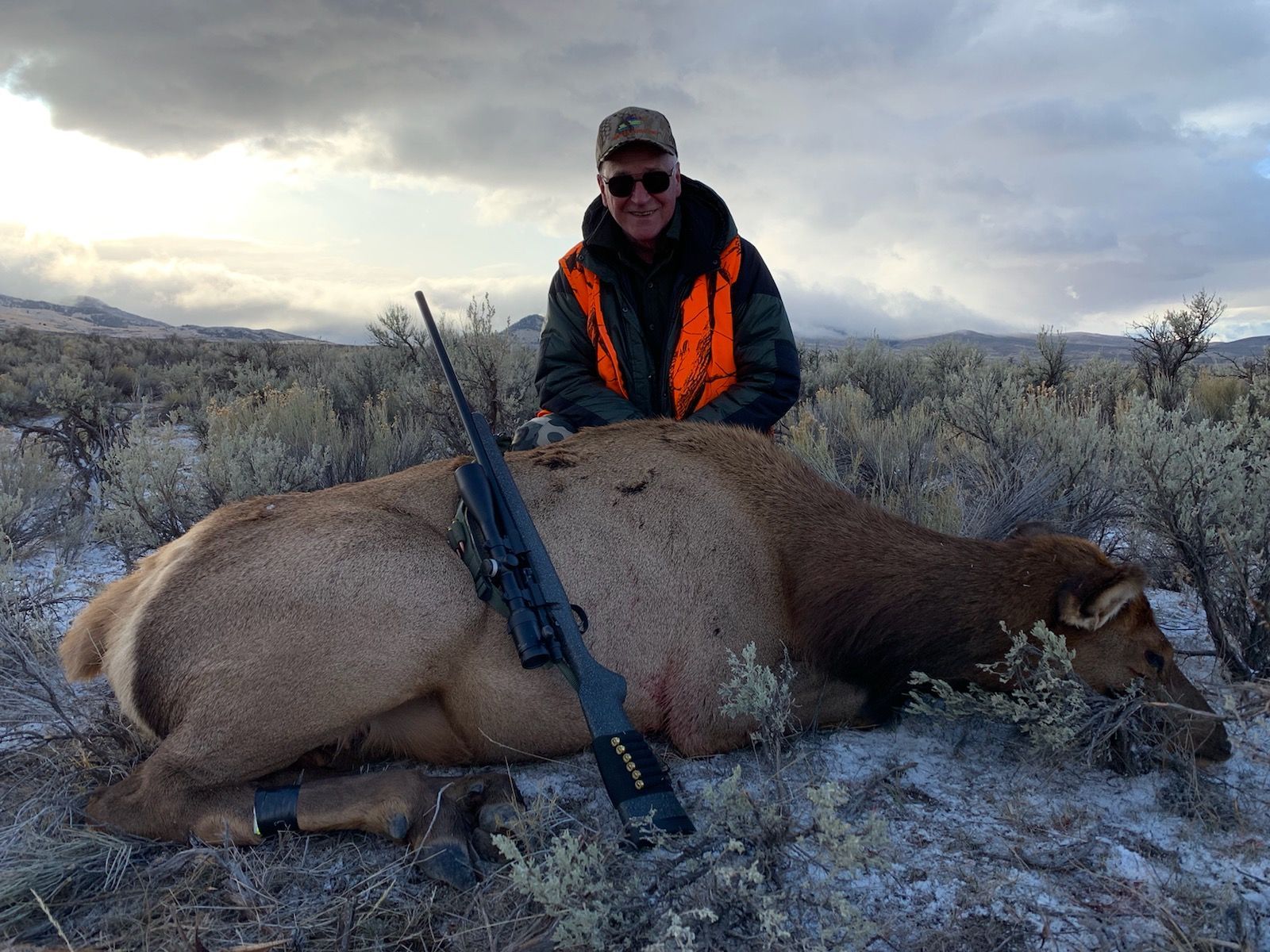 Elk Gallery Image