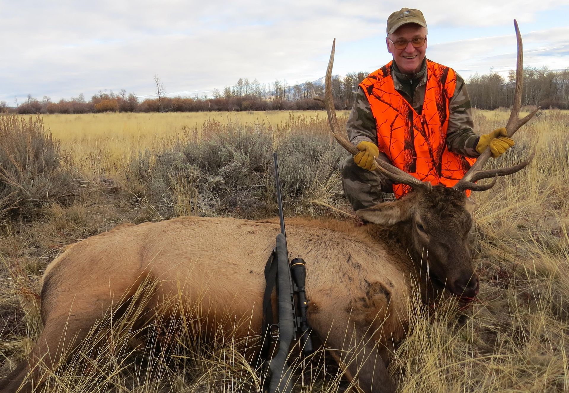 Elk Gallery Image