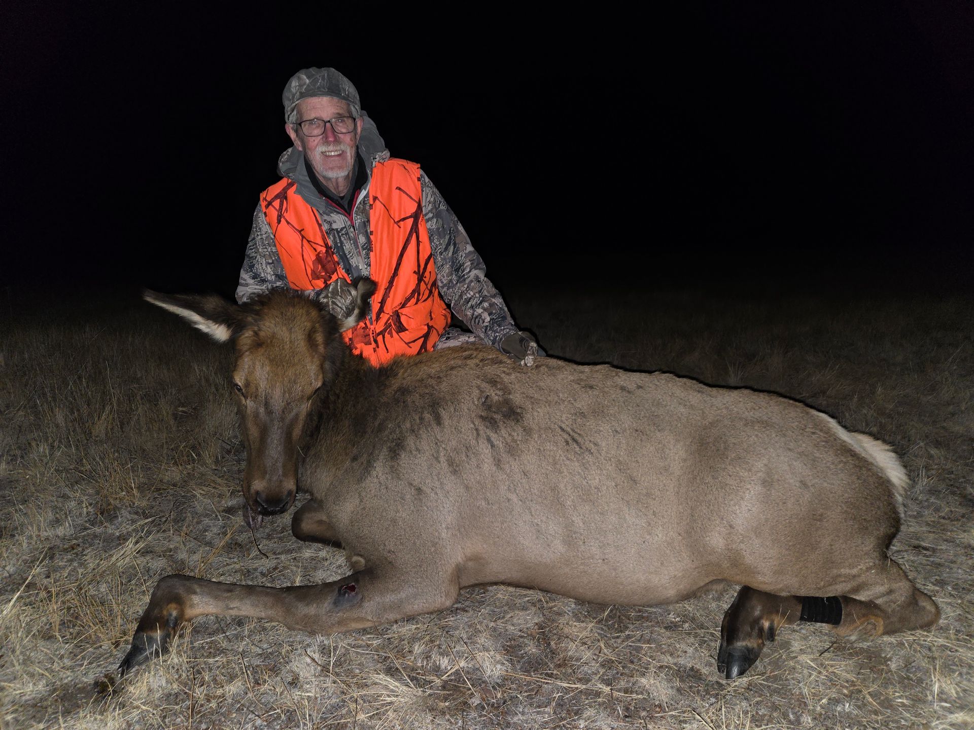 Elk Gallery Image