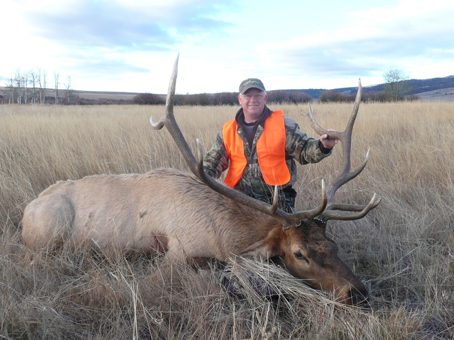 Elk Gallery Image