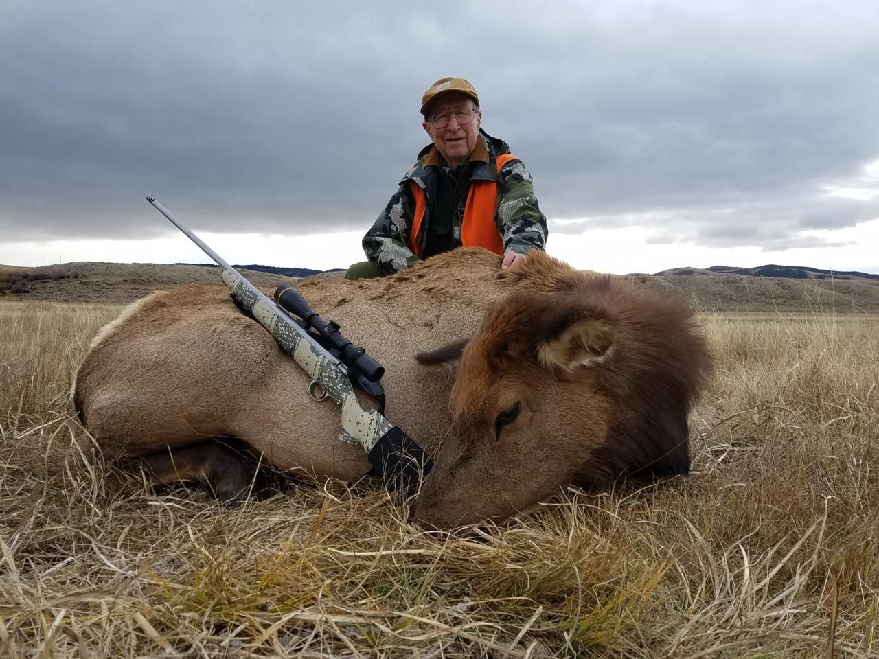 Elk Gallery Image