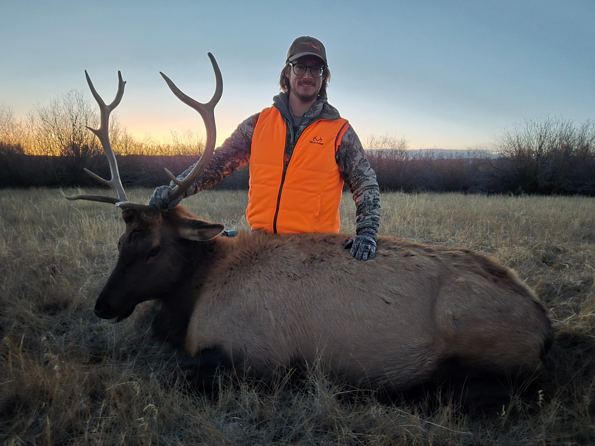 Elk Gallery Image