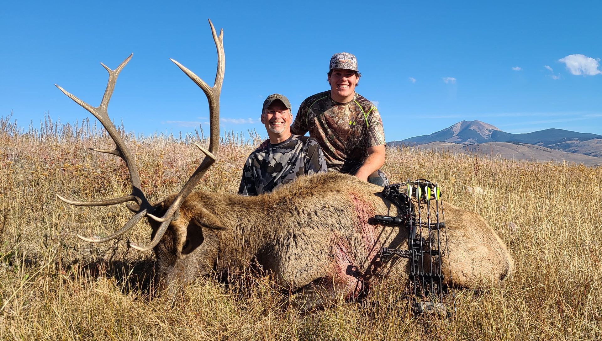 Elk Gallery Image