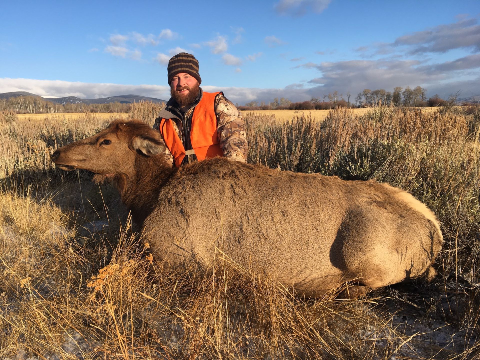 Elk Gallery Image