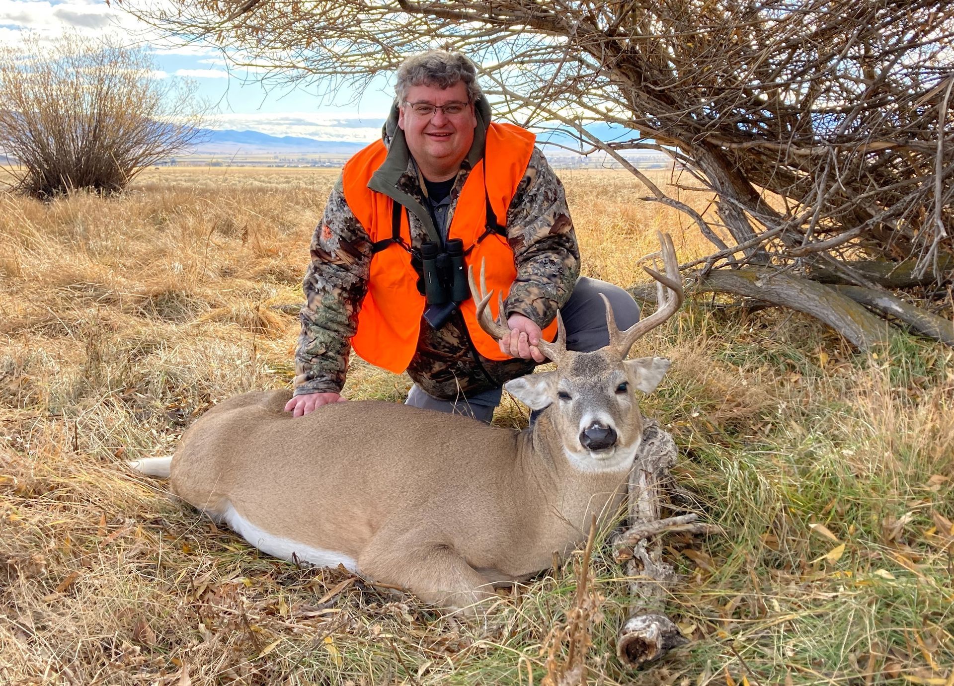 Whitetail Deer Gallery Image