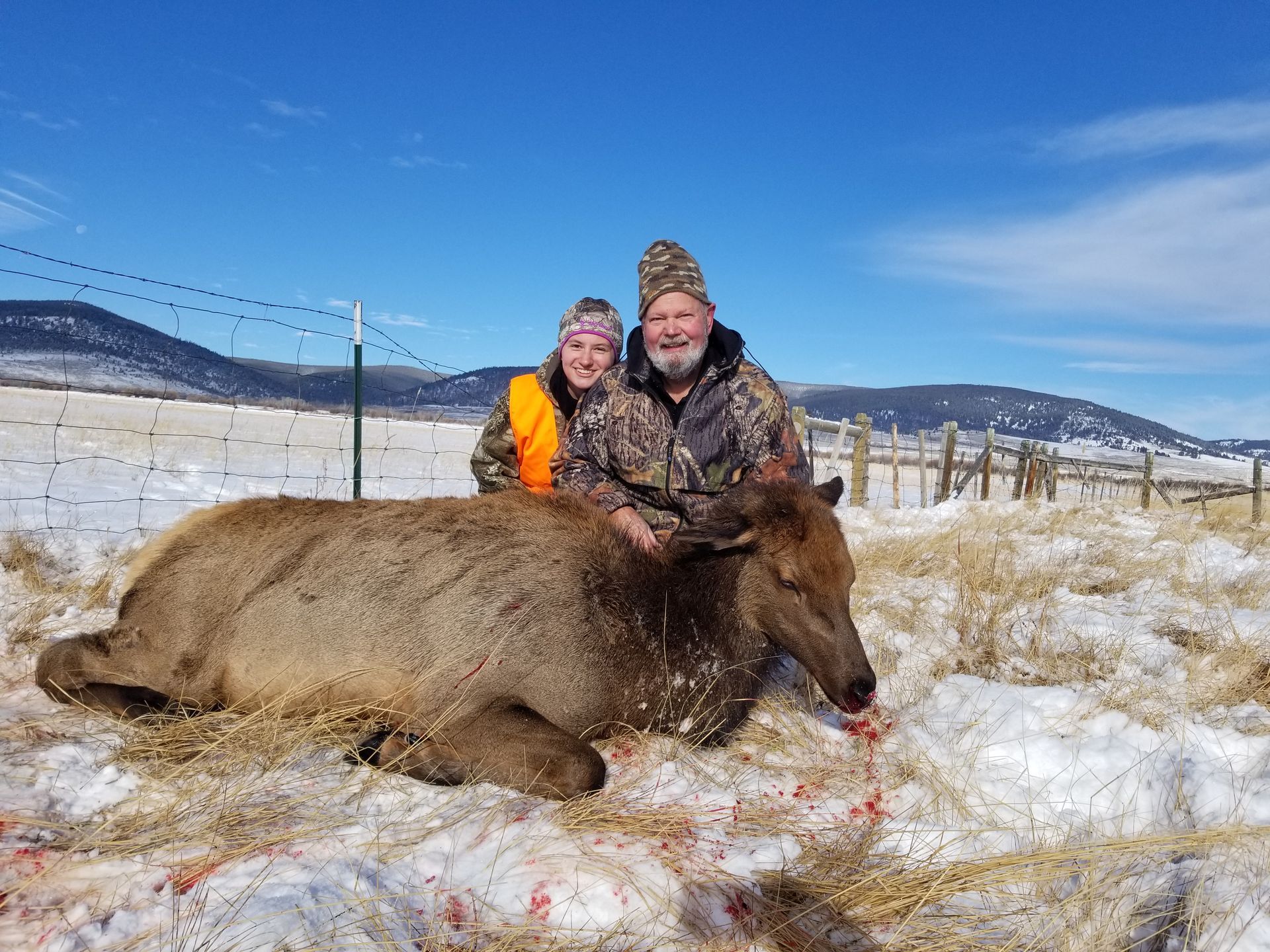 Elk Gallery Image