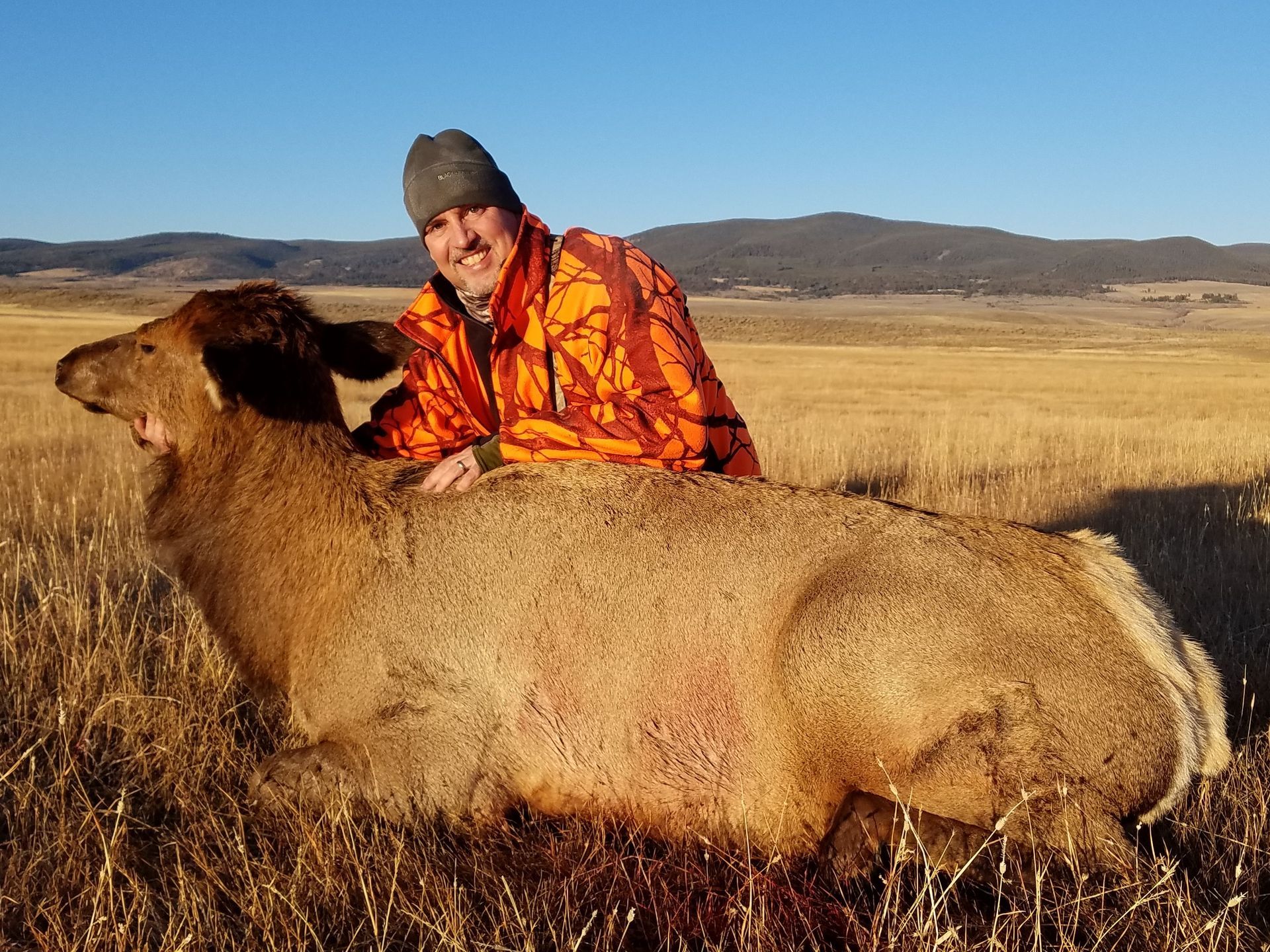 Elk Gallery Image