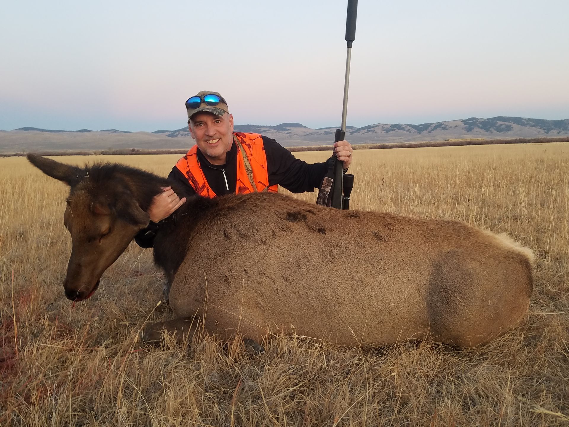 Elk Gallery Image