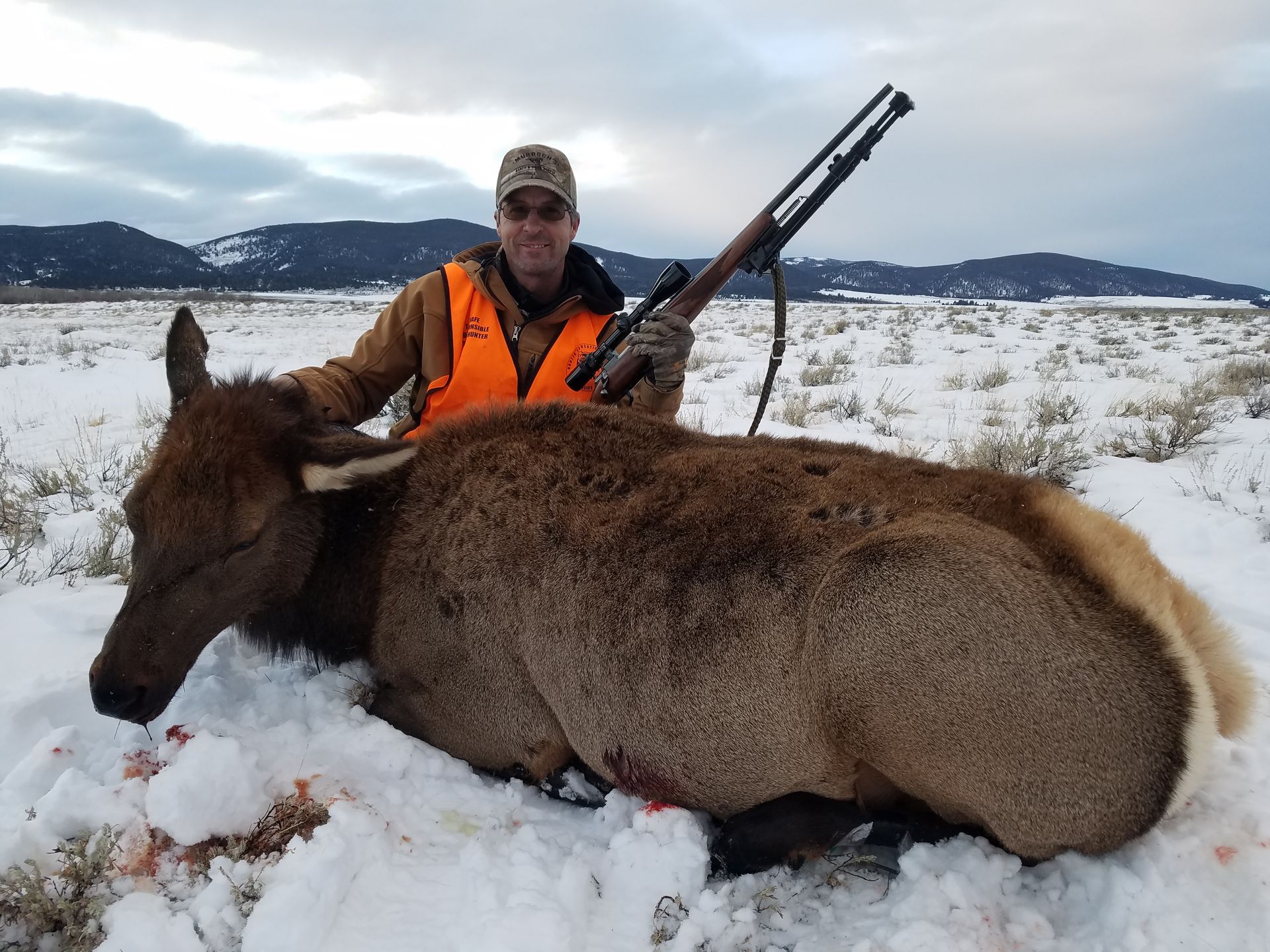 Elk Gallery Image