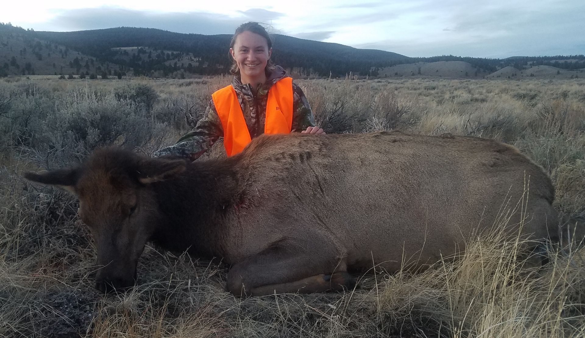 Elk Gallery Image