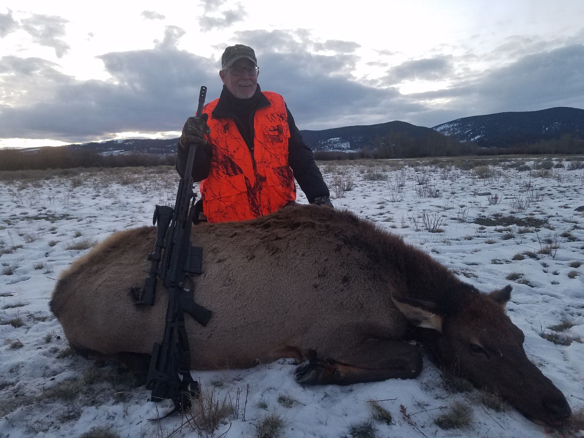 Elk Gallery Image
