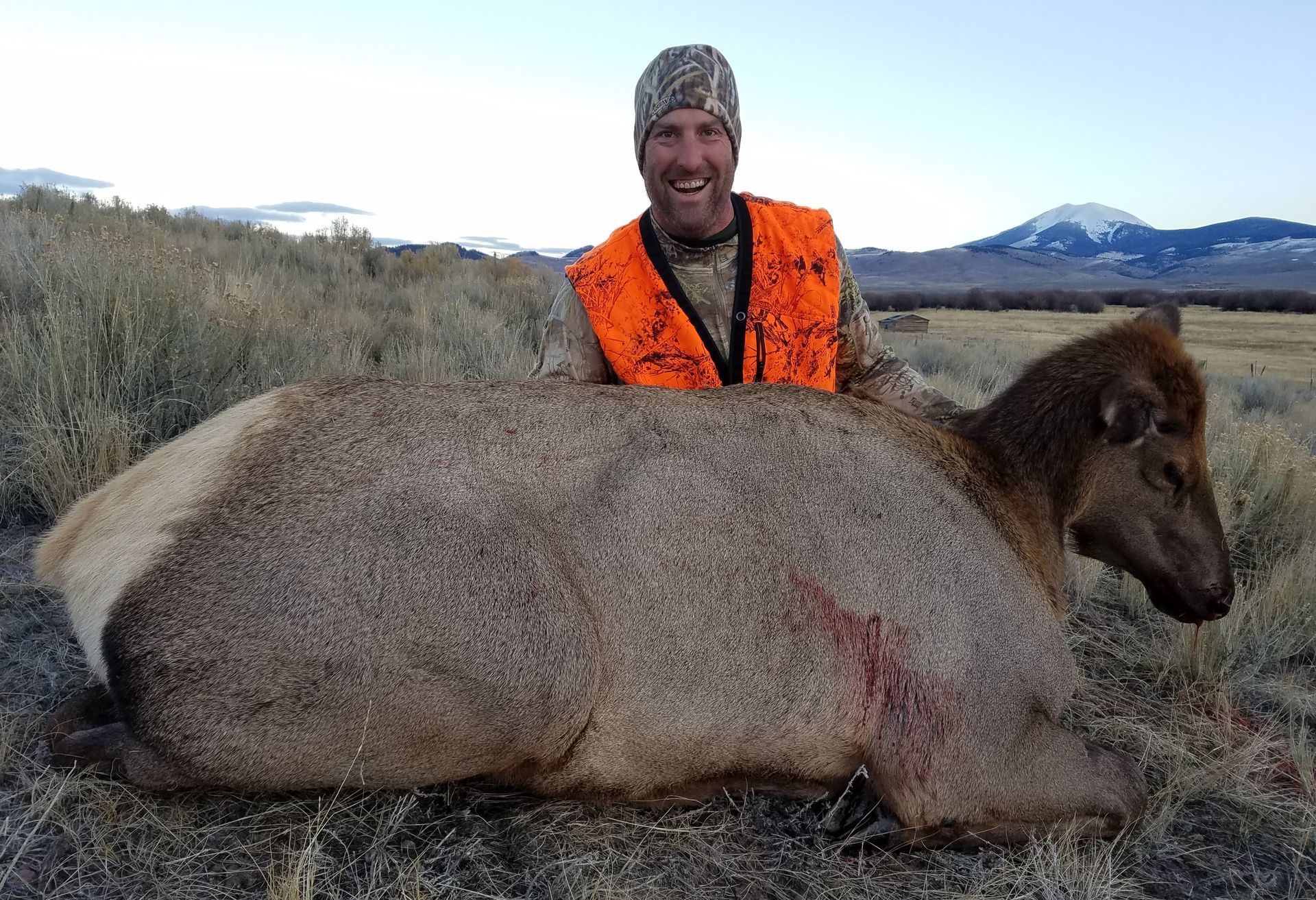 Elk Gallery Image