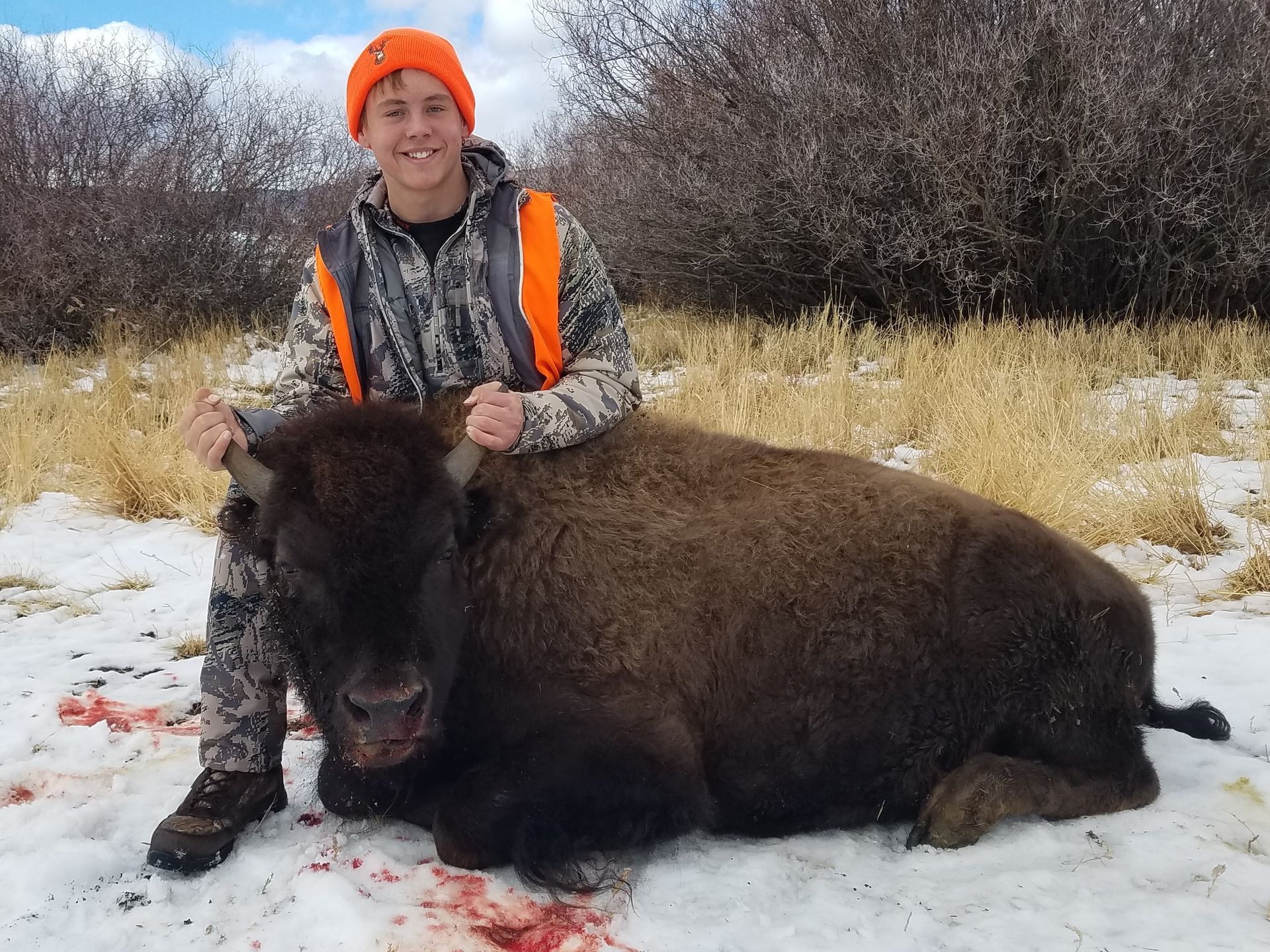 Elk Gallery Image