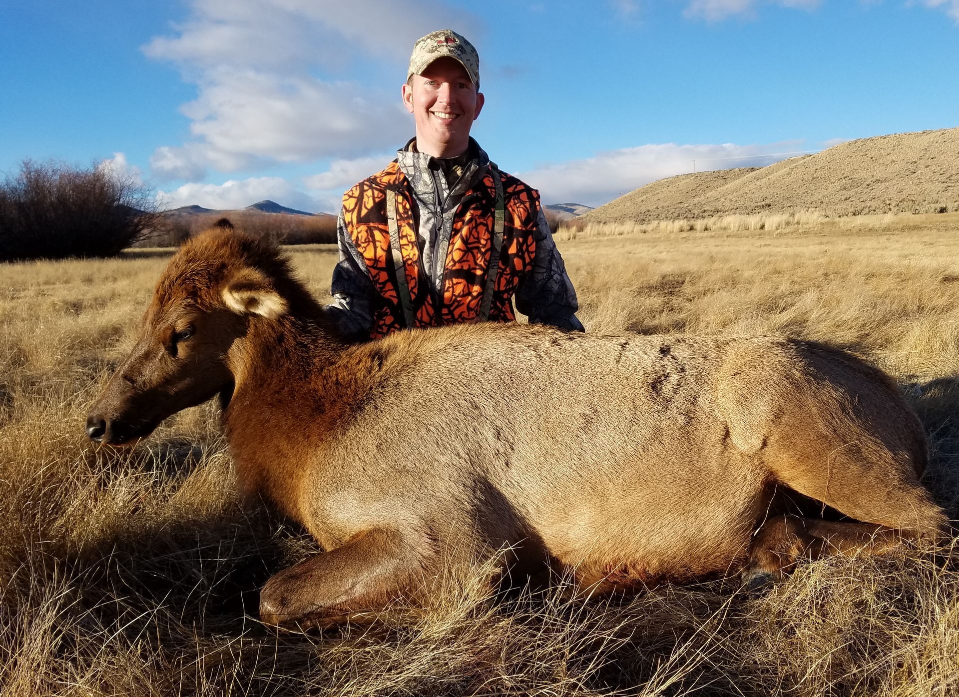 Elk Gallery Image