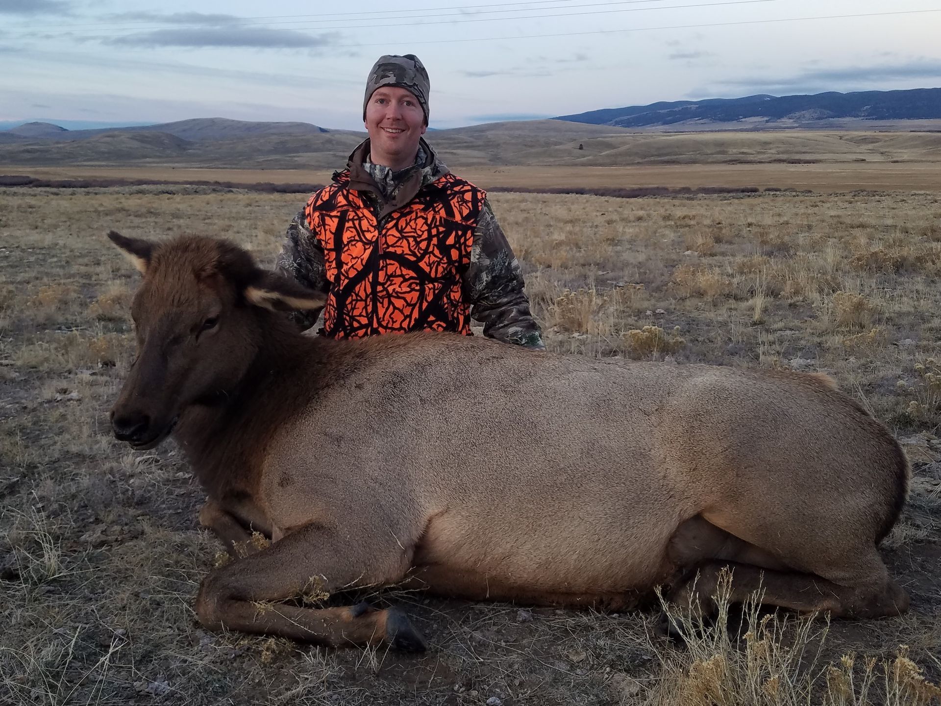 Elk Gallery Image