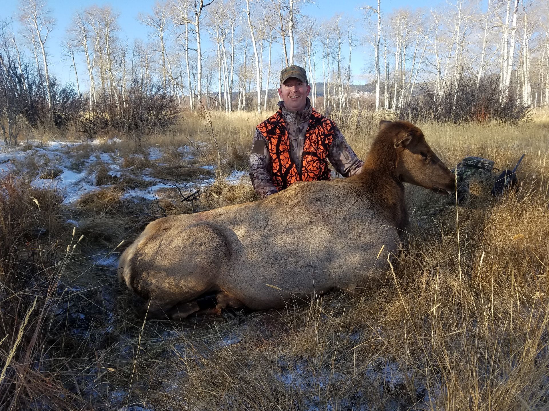Elk Gallery Image