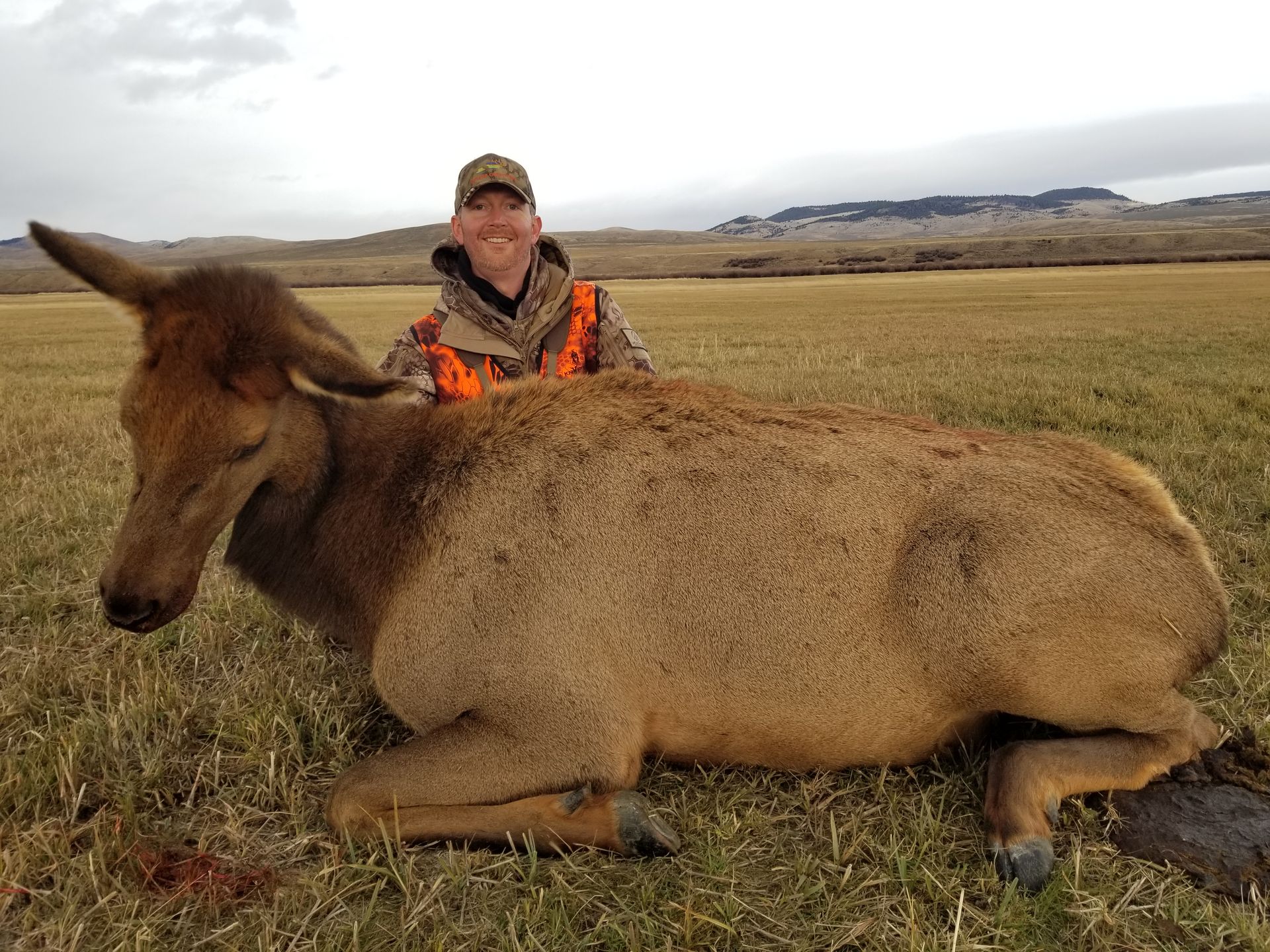 Elk Gallery Image