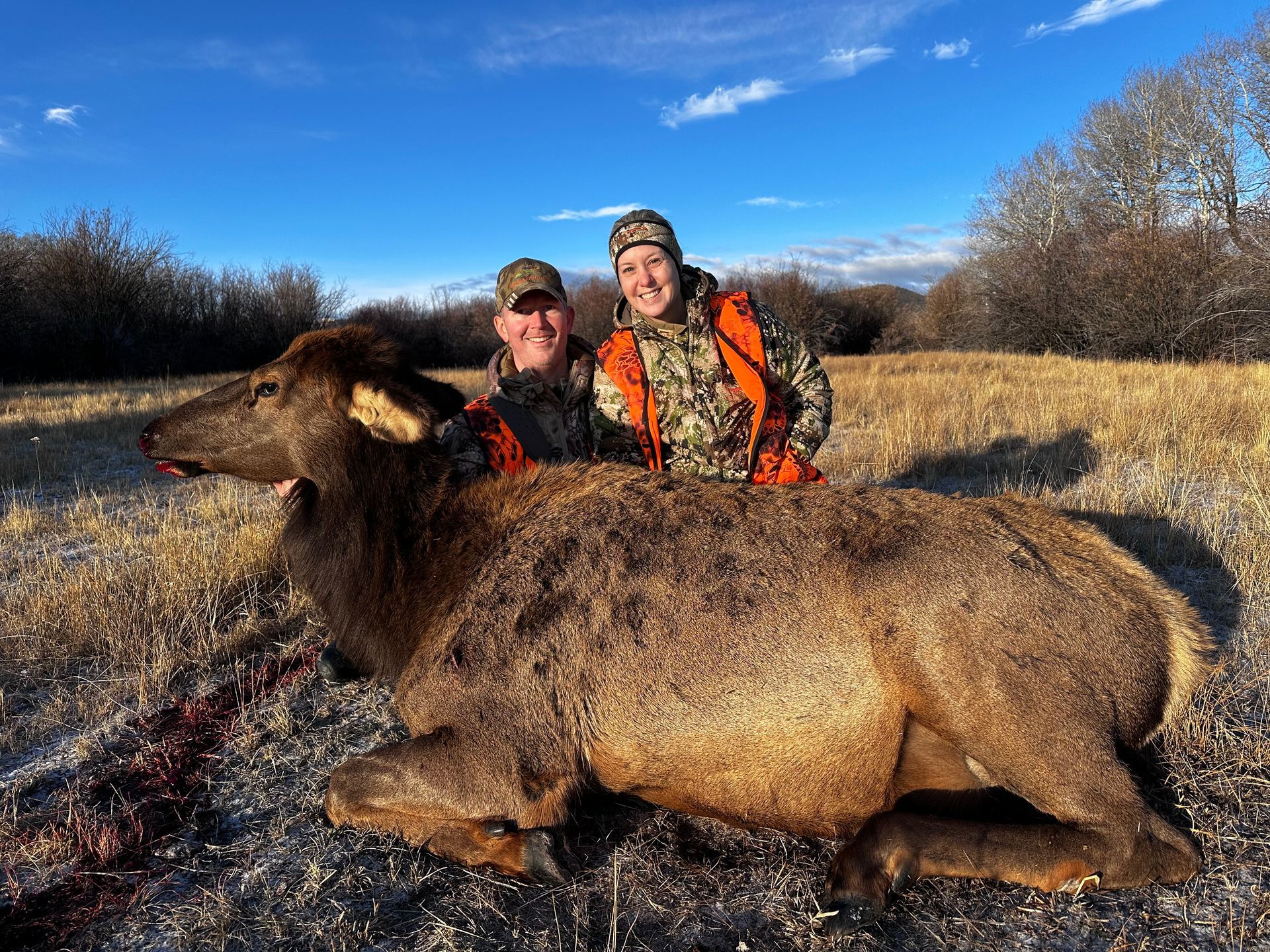 Elk Gallery Image