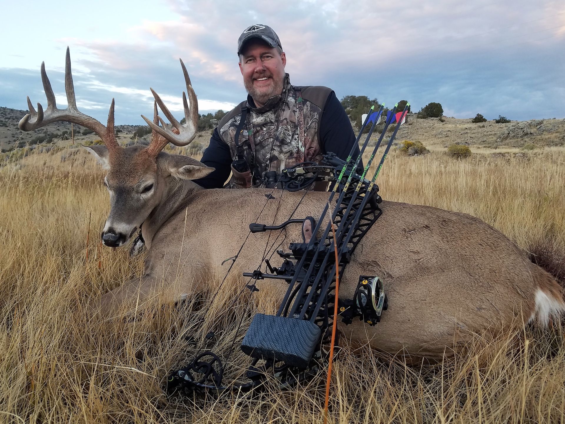 Whitetail Deer Gallery Image