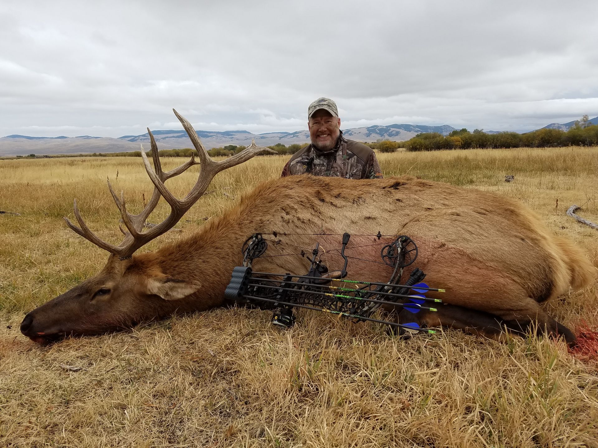 Elk Gallery Image