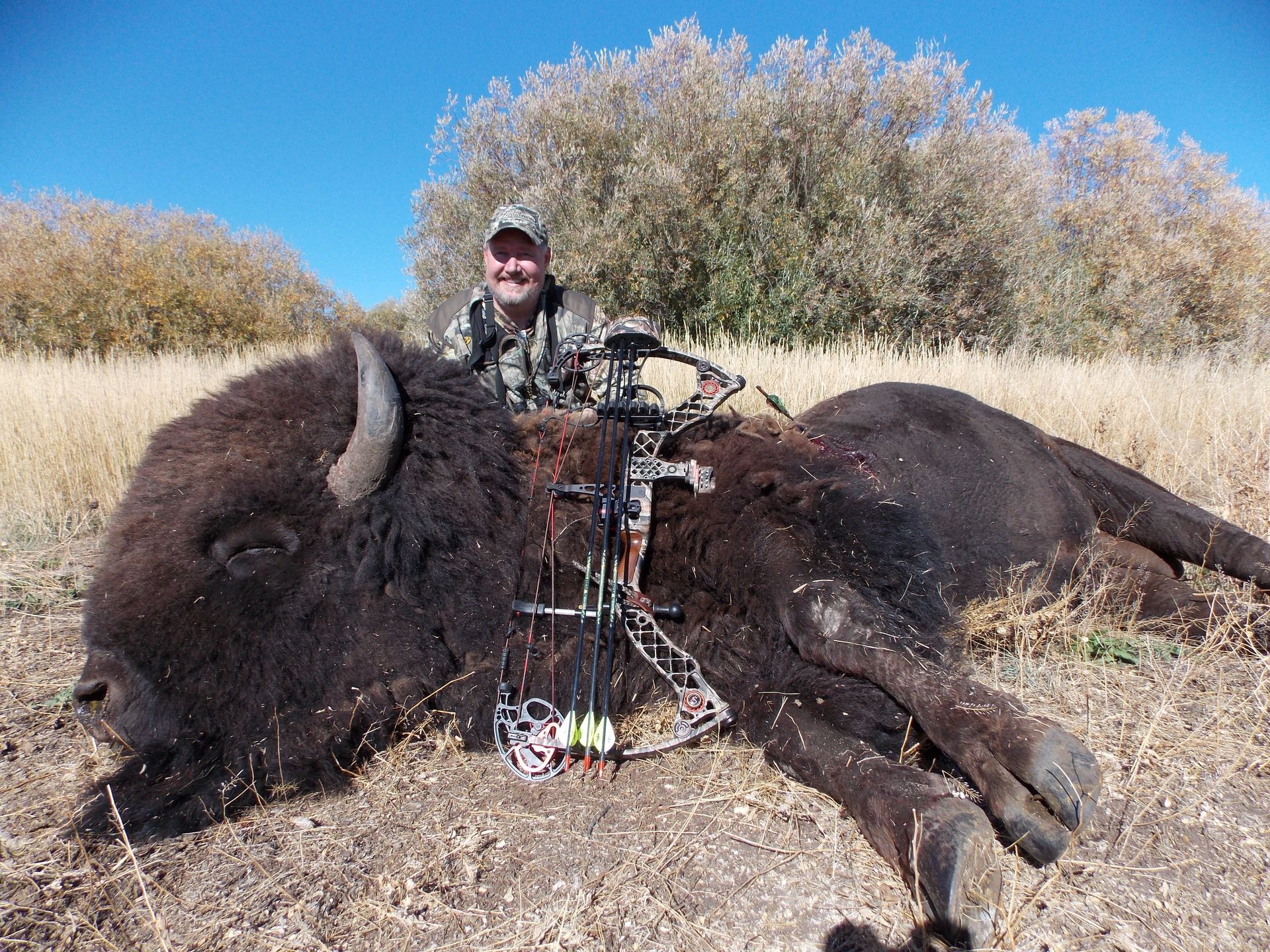 Elk Gallery Image