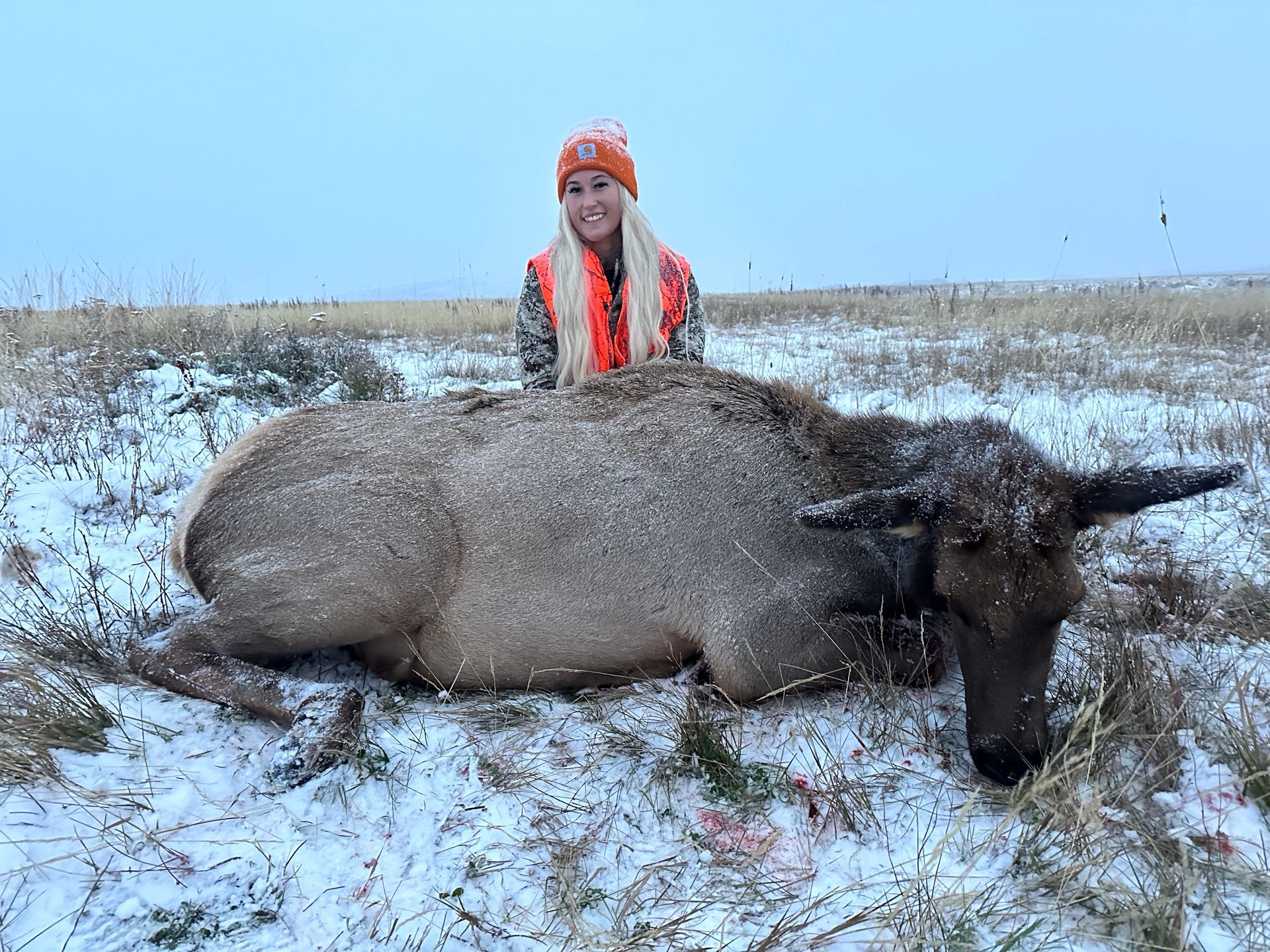 Elk Gallery Image