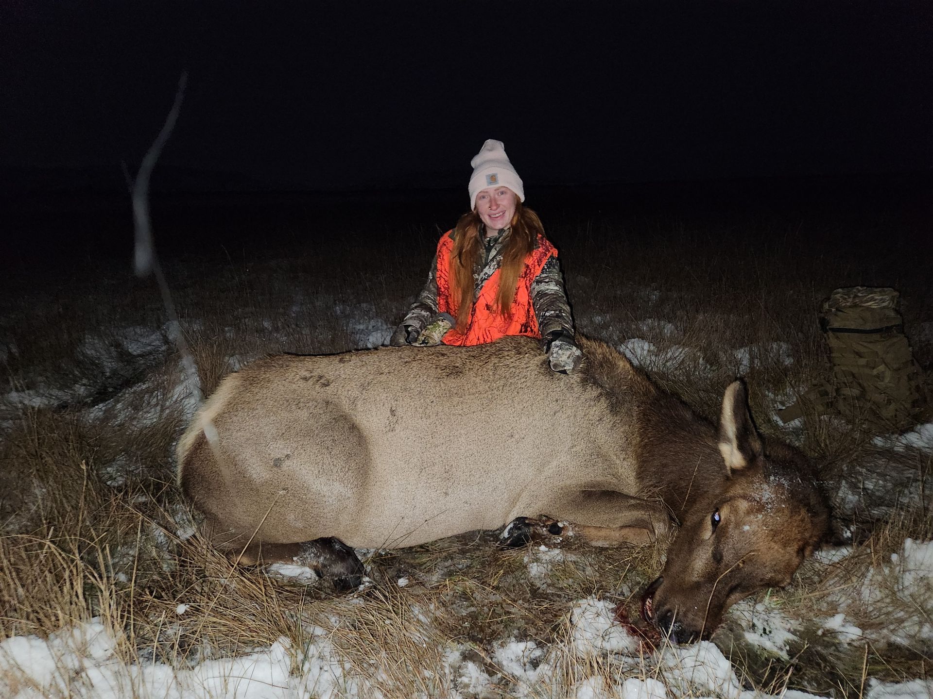 Elk Gallery Image